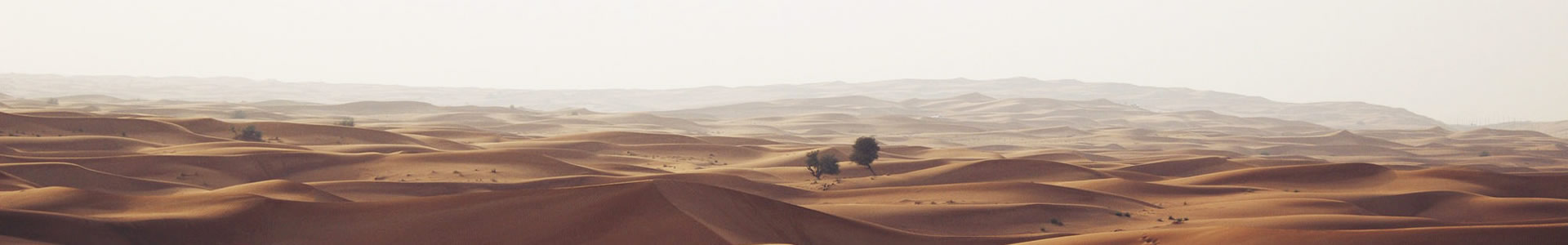 ݸелеƼ޹˾